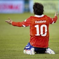 379896.jpg