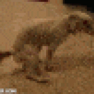 530199.jpg