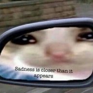 545076.jpg