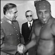 568501.jpg