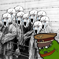 571223.jpg