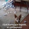 TeRRiBLeMeNtE