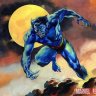 Bolson
