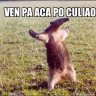 eralex