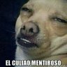 VERGOSTELES