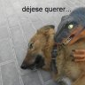 xscreamo