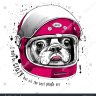 perroenmoto