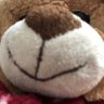 Sirdoc