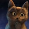 gatomaligno