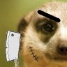 Cails