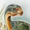 Chilesaurio