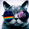 gatolord