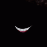 white rabbit eht