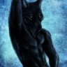 lobo solitario elfo
