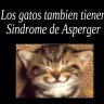 Der Sturner