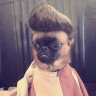 mrmael