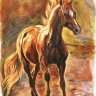 blackfirehorse