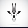 Oryx