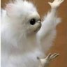 Monito Blanco