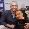 el encanta perros