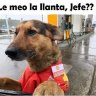 TchandoCacha