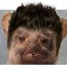 jaraalex42