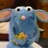 Ratadecampo