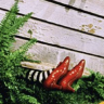 zapatosdebruja