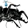 gothmoth