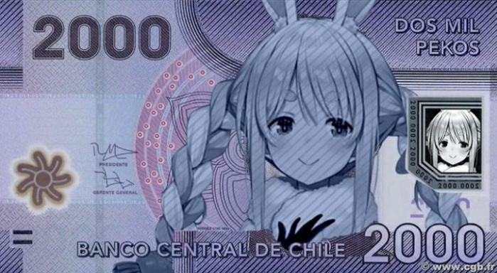 570308.jpg