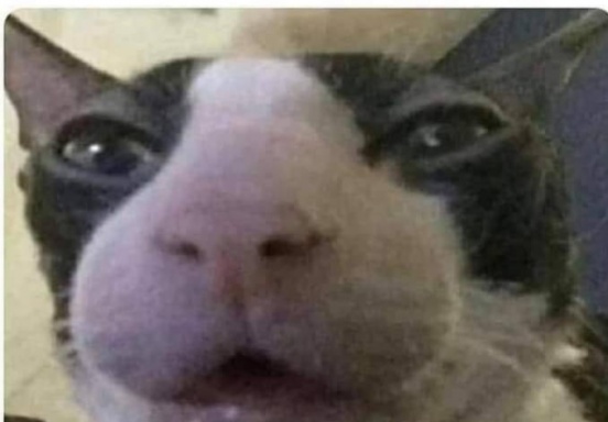 573953.jpg
