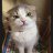 omar_ggh
