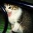 Gata Sturmer