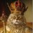 Gato Culiao