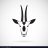 Oryx