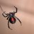 DarkSpider