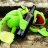 Froggy1