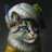 Gato CuIiao