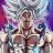 Don Son Goku gris