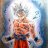 Saiyajin Gris
