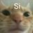 Panxisko83ban