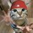 gatitoguatoncontuto